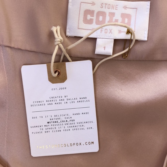 NWT Dusty Rose Stone Cold Fox 100% Silk Slip Dress - 1 (S) - Picture 9 of 10